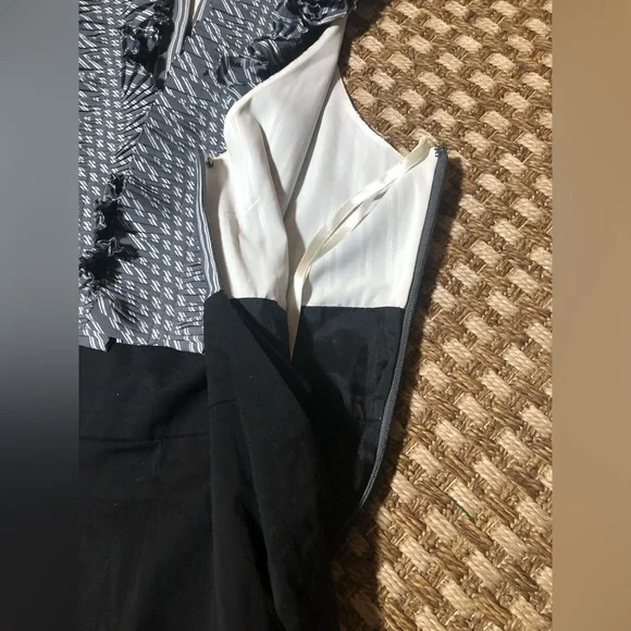 BCBG Maxazria Women’s Size 12 Sleeveless Ruffle Knee Length Dress - Picture 12 of 12